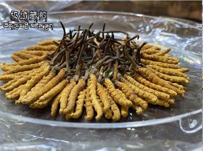 如图片无法显示，请刷新页面