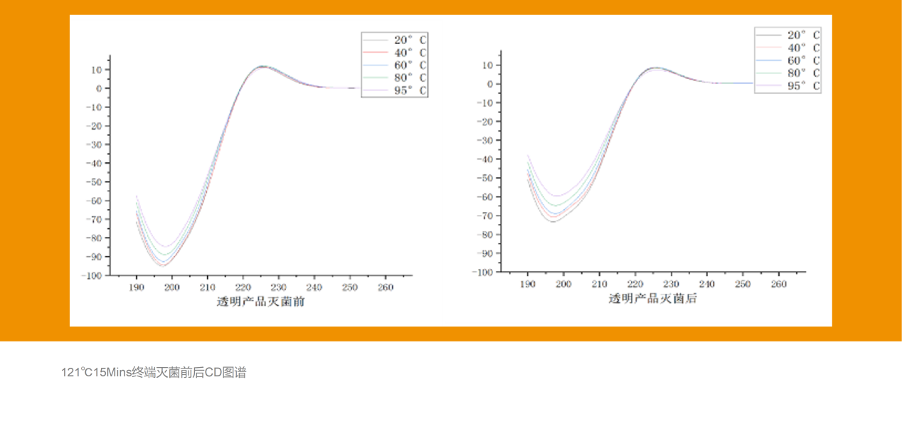CD图谱