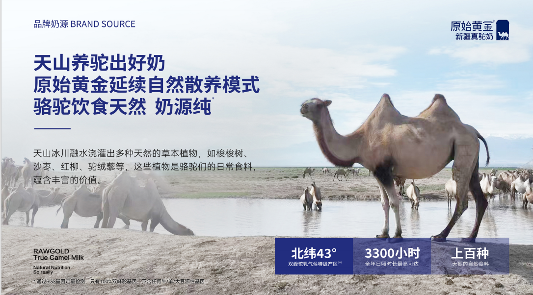 如图片无法显示，请刷新页面