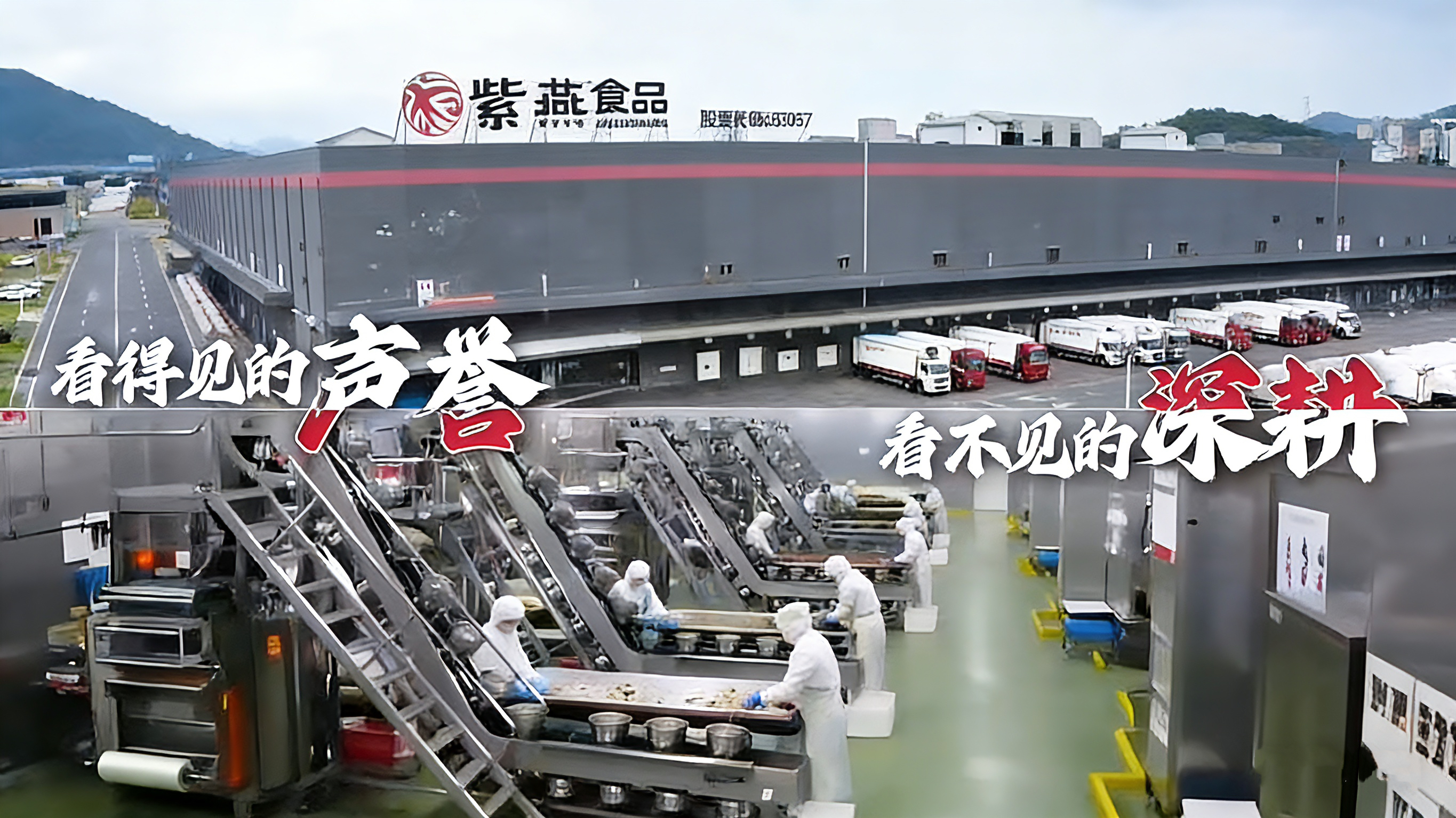 紫燕供应链与工厂相关场景