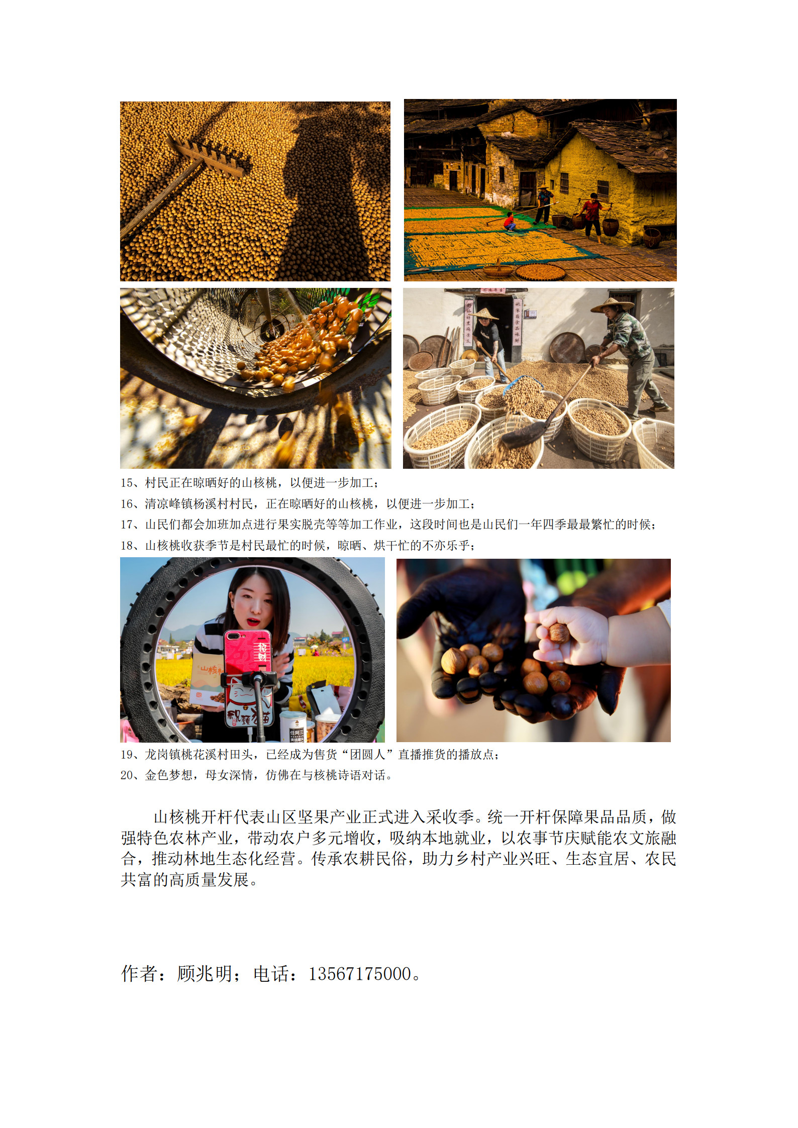 《小小山核桃 振兴大乡村》_4