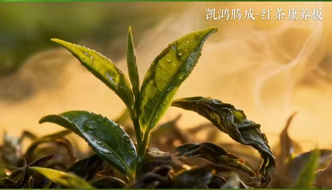 凯鸿腾成板材