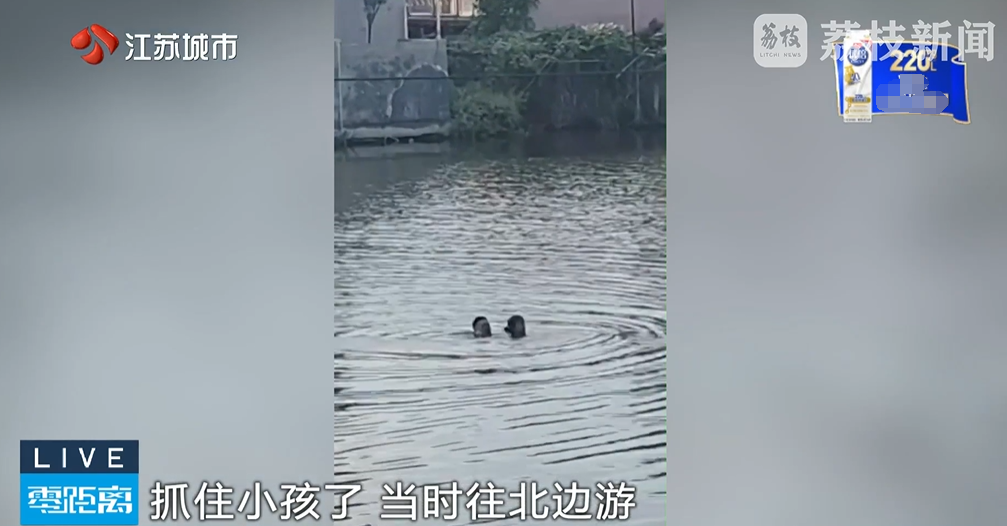 如图片无法显示，请刷新页面