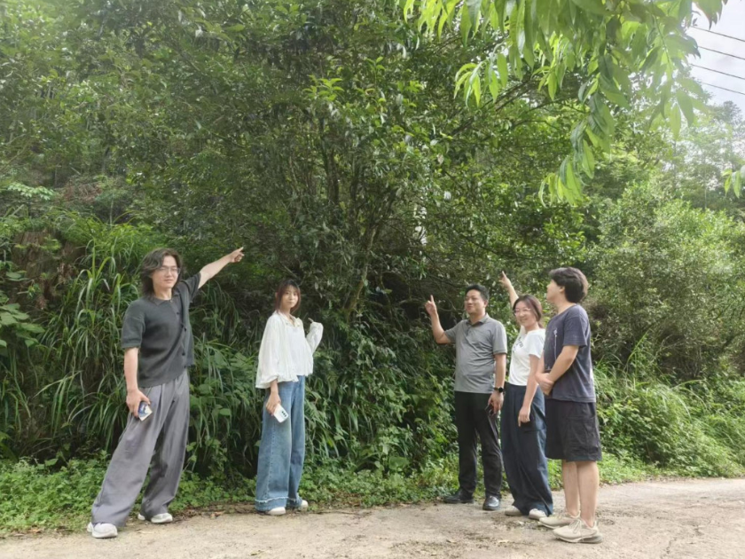 如图片无法显示,请刷新页面