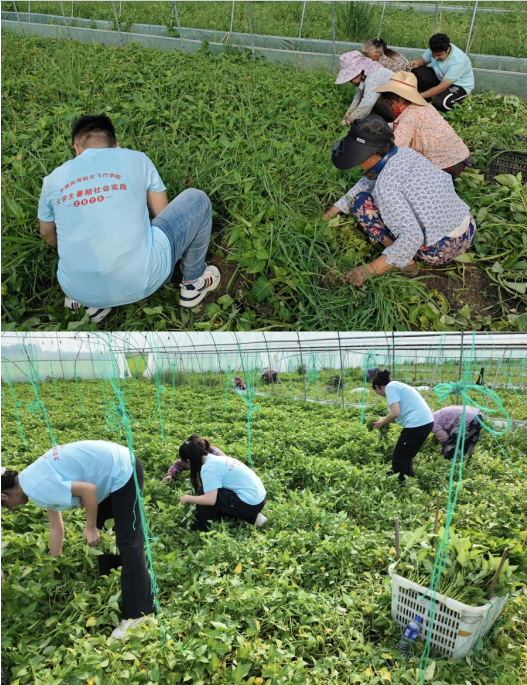 如图片无法显示,请刷新页面