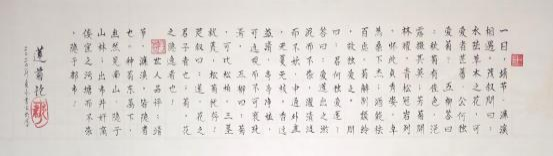 IMG_271